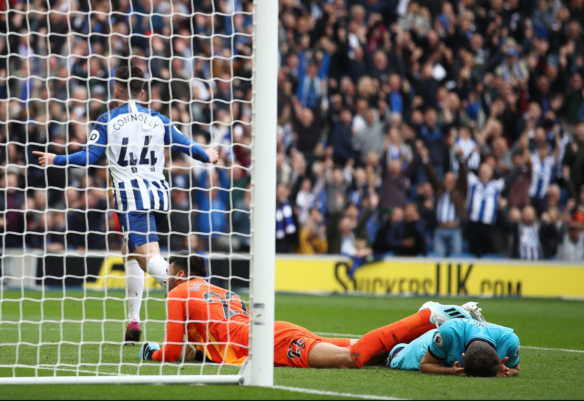 会迫使其他 会迫使其他